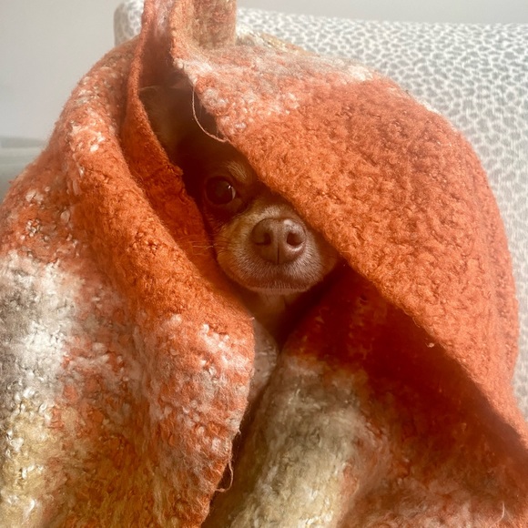 Meet your Posher, Ann-marie - Picture 5 of 7